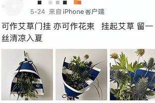 持续输出！凯尔特人连续9场得分120+平队史最高纪录